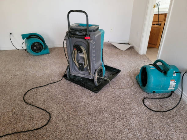Best Sewage cleanup and water damage restoration  in Stapleton, AL