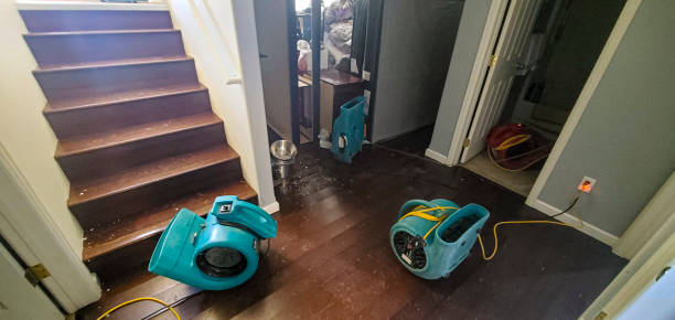 Best 24/7 water damage repair  in Stapleton, AL