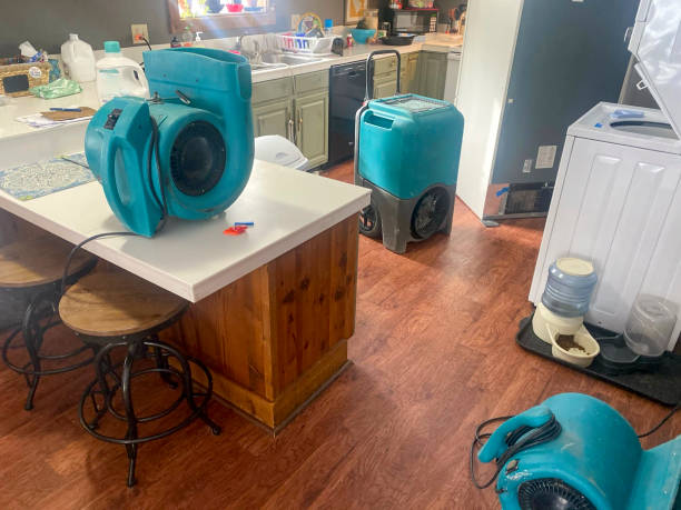 Water damage restoration process in AL