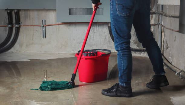 Best Flooded house restoration  in Stapleton, AL