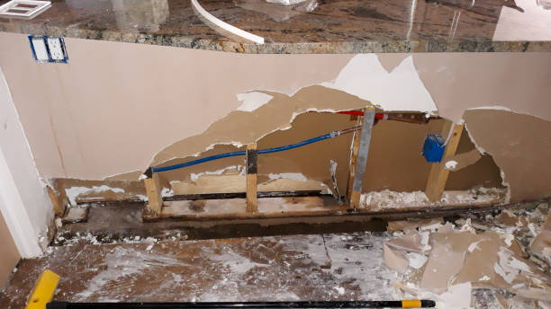Best Commercial water damage restoration  in Stapleton, AL