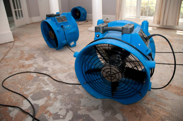 Best Water damage restoration near me  in Stapleton, AL