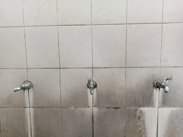 Best Flooded house restoration  in Stapleton, AL