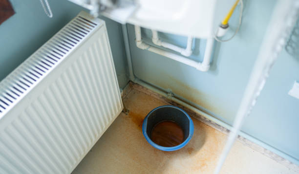 Best Professional water damage repair  in Stapleton, AL