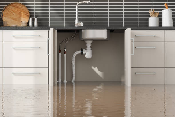 Best Water damage contractors near me  in Stapleton, AL