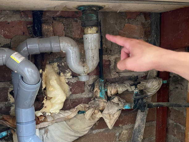 Best Water damage restoration insurance claims  in Stapleton, AL