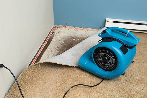  Stapleton, AL Water damage restoration Pros